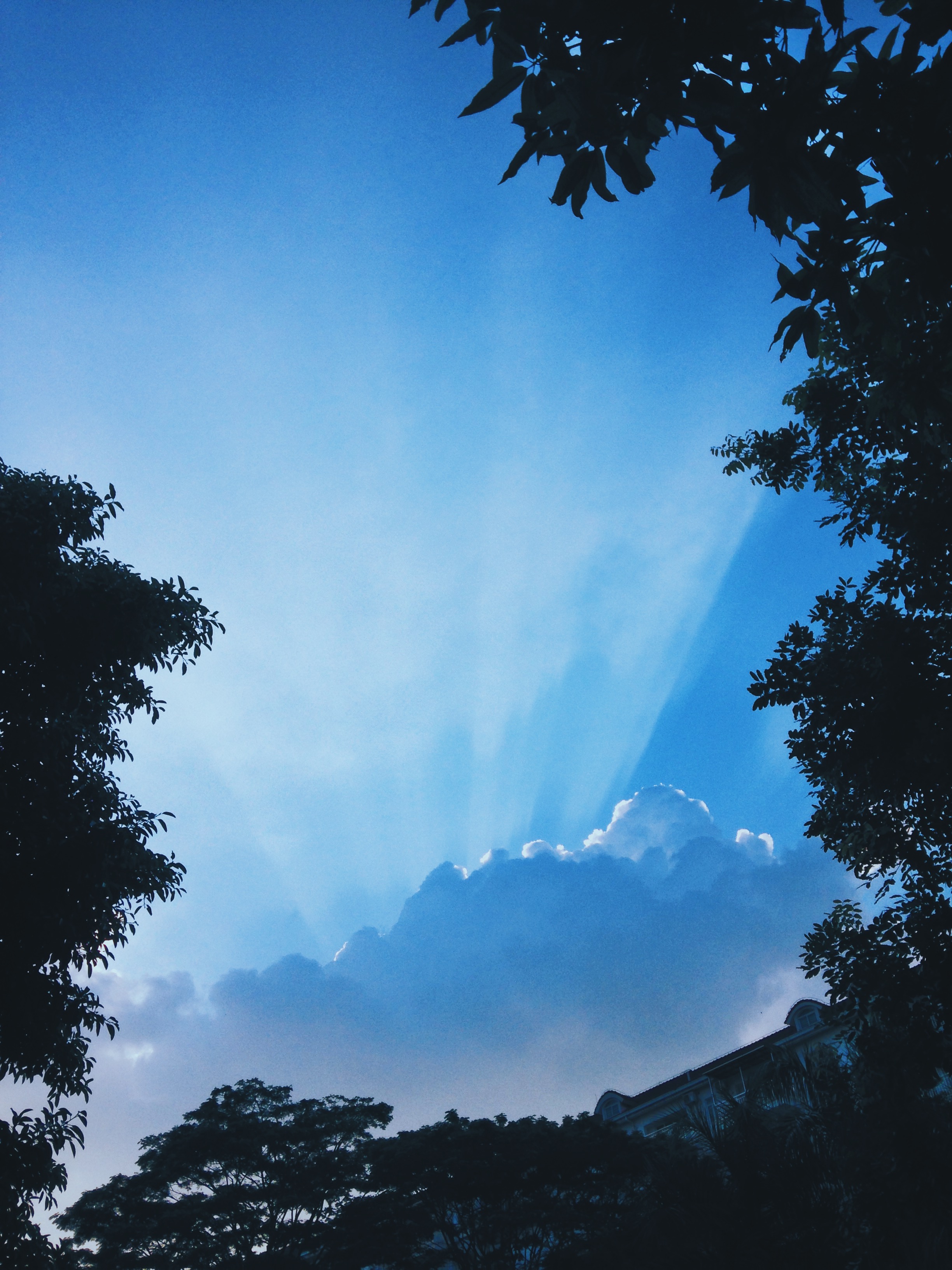 Processed with VSCOcam with hb2 preset