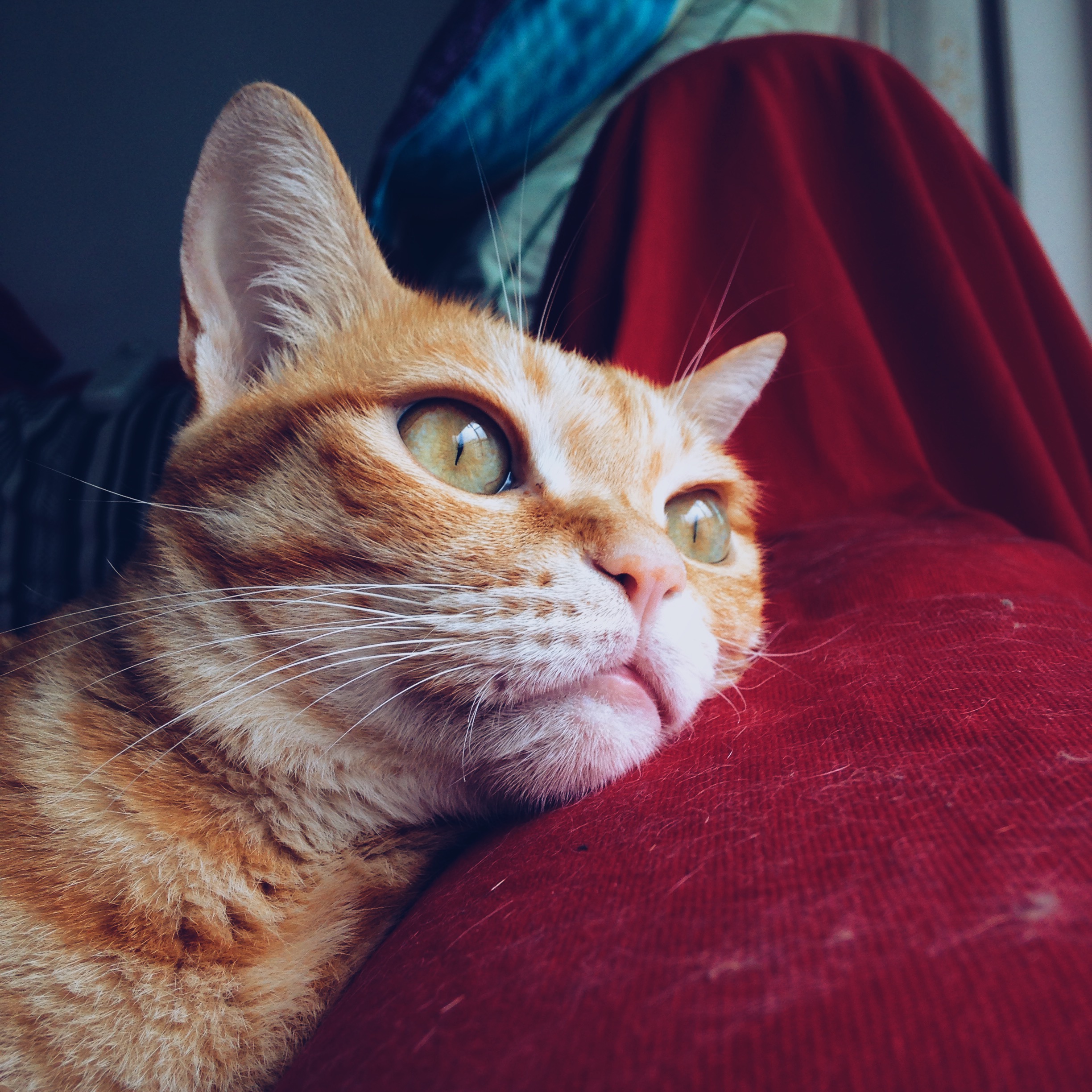 Processed with VSCOcam with a5 preset