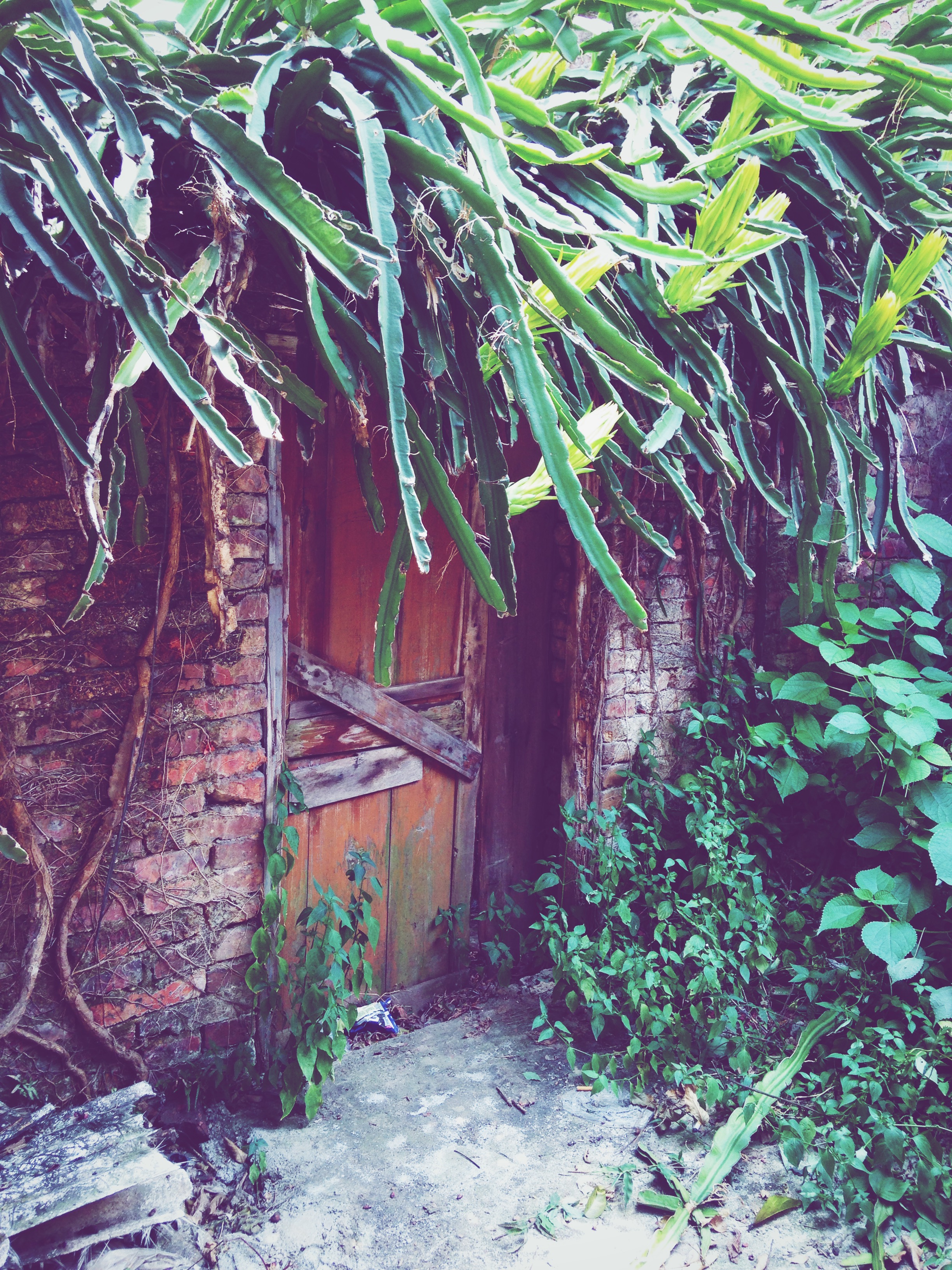 Processed with VSCOcam with f2 preset