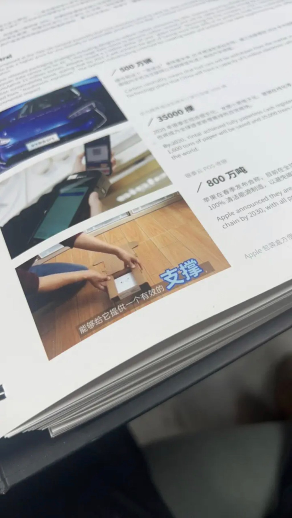 真是好没礼貌的前辈啊！