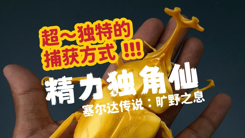 亲自抓个精力独角仙吧！