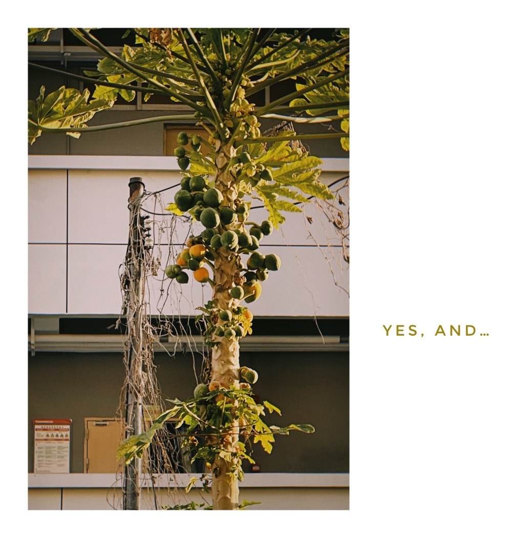 十年谢幕；苏打汽水～