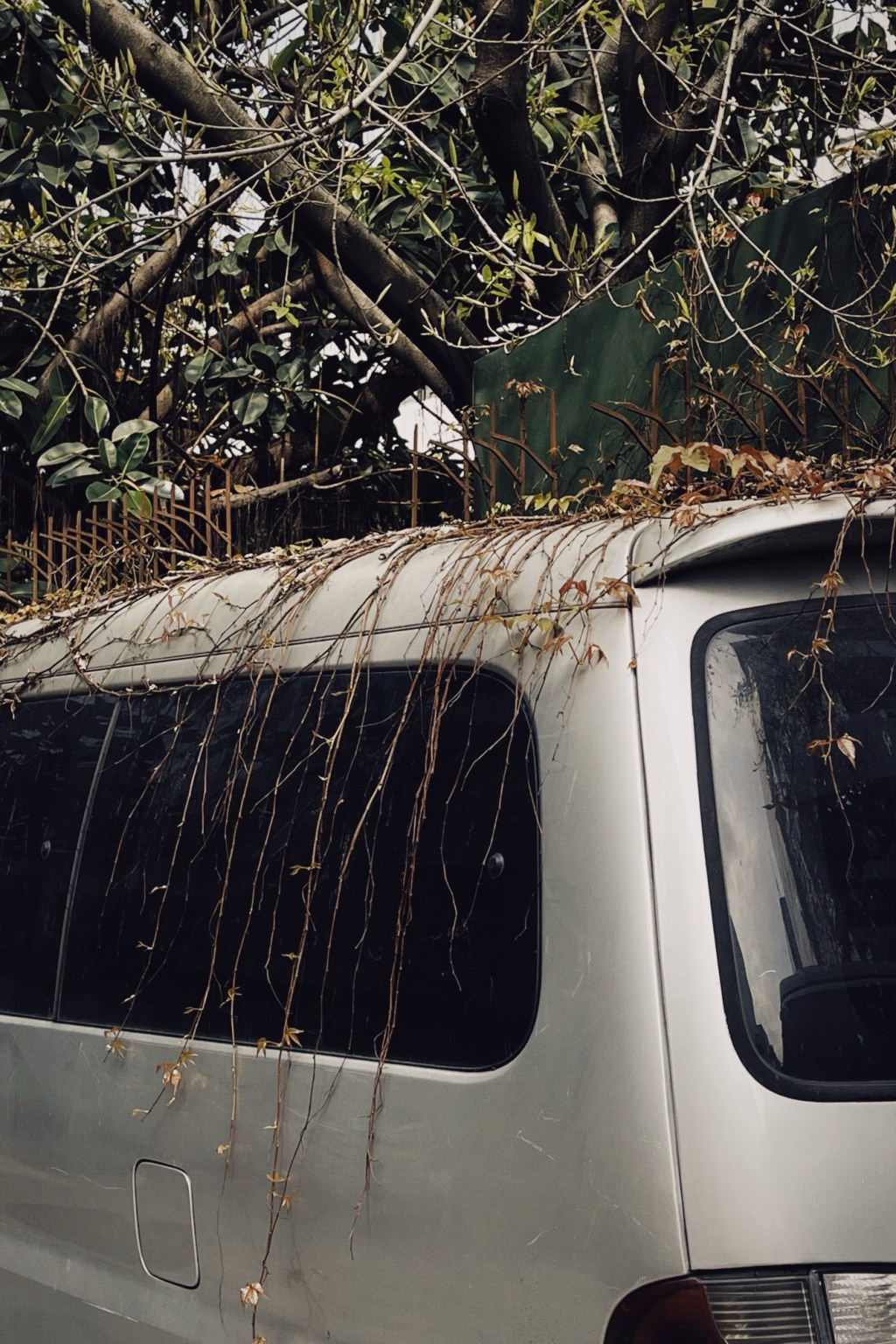 不要被荒野覆盖